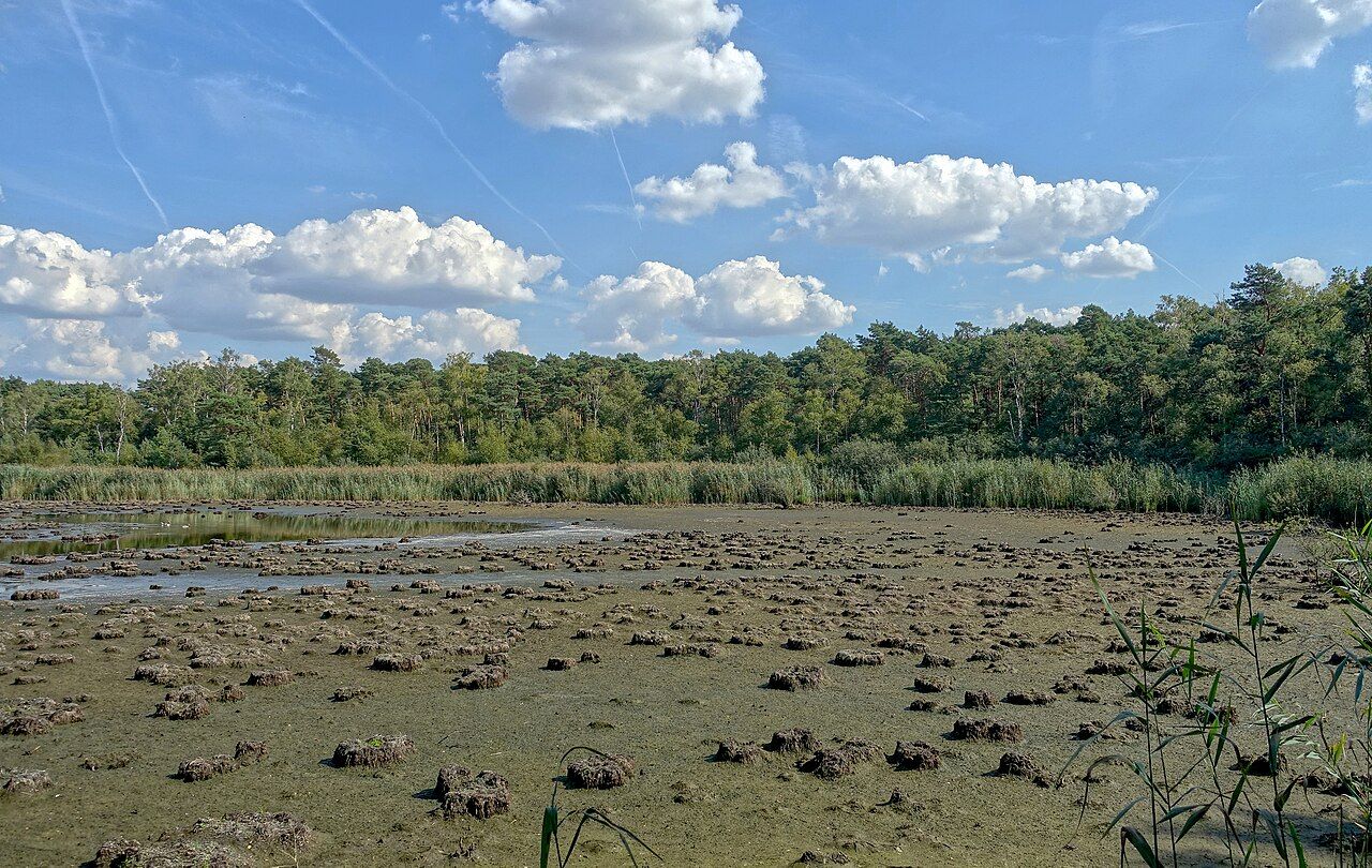 Lüntener Fischteiche