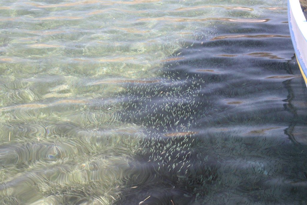 Plage TR-AEG