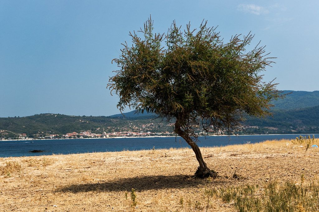 Plage GR