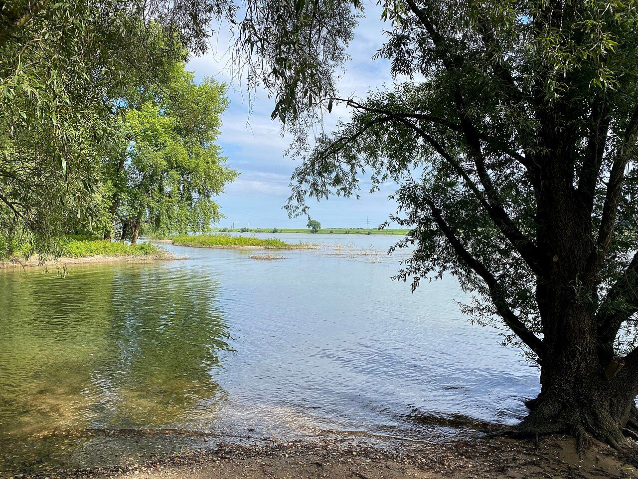 Die Spey