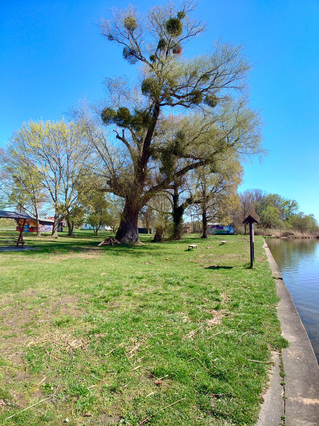 Stadtstrand Torgau
