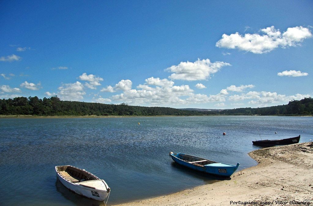 Praia do Chico Nega
