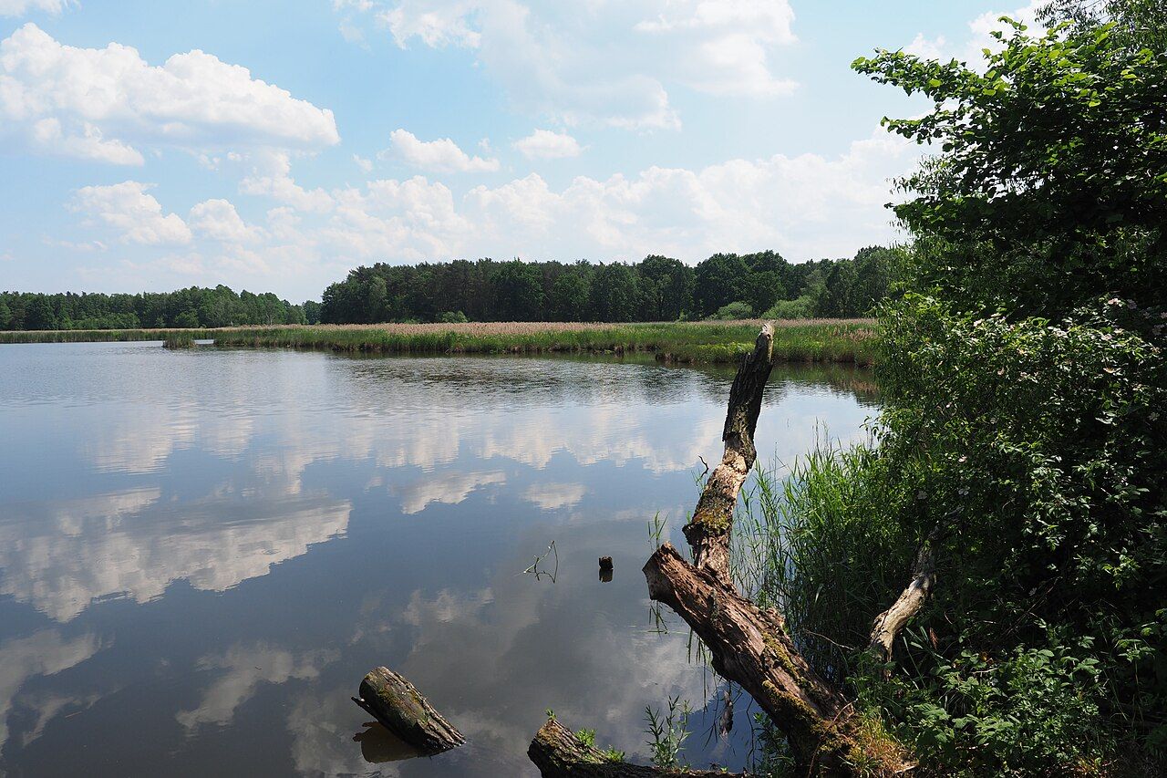 Vierteich Freitelsdorf