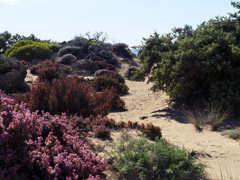 Gramméno Beach