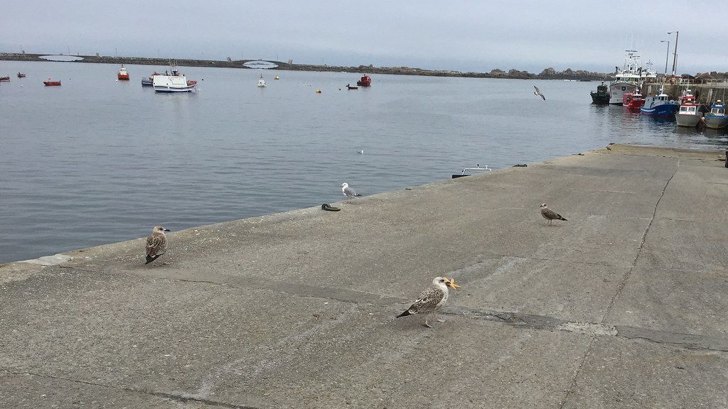 Plage de Ribeira