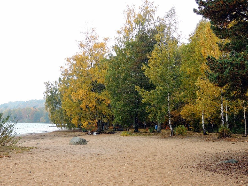 Plage SE-S