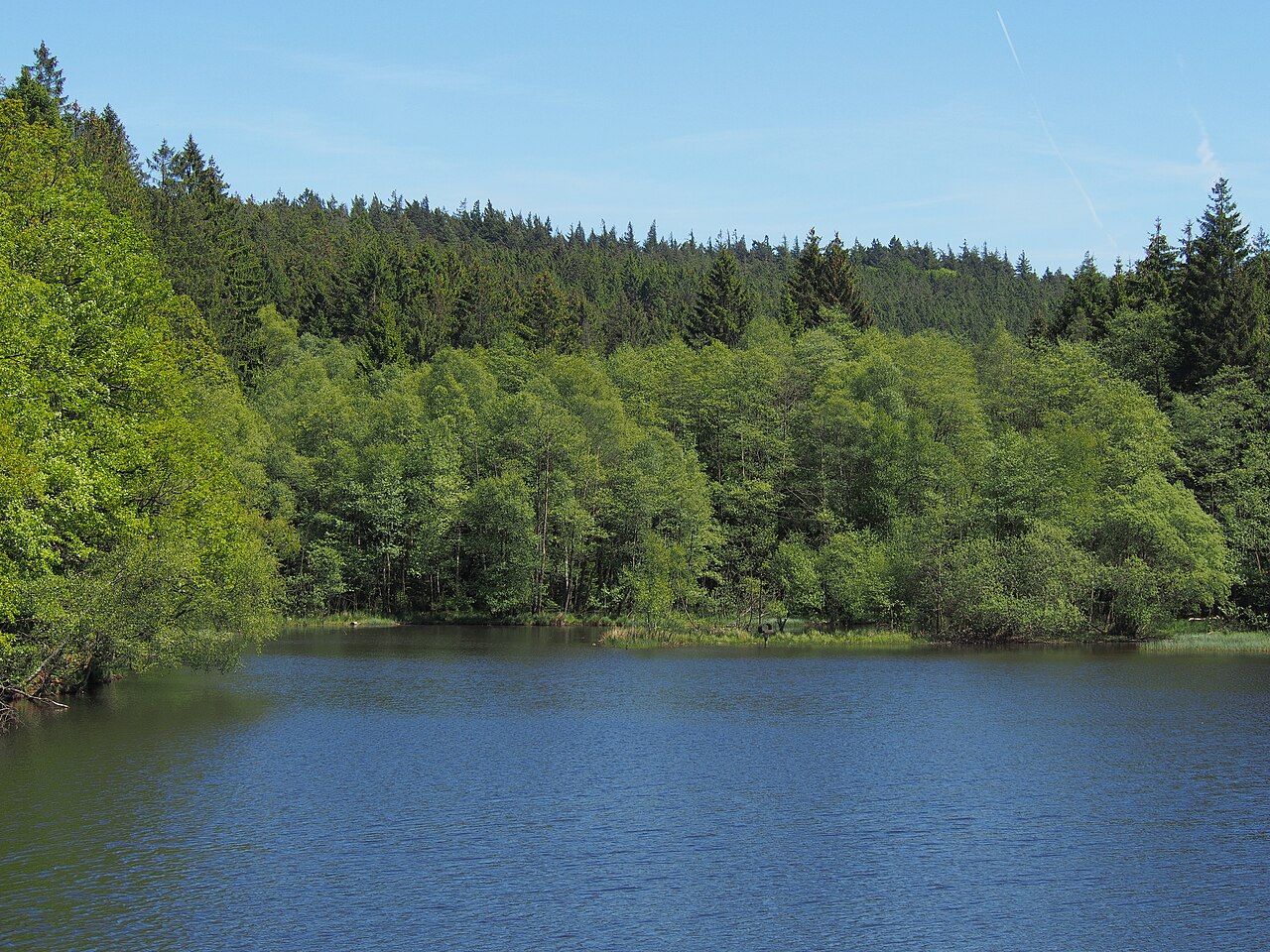 Dreilägerbach mit Vorbecken und Steinbach
