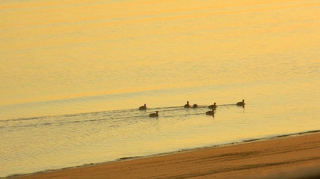 Plage US-NE
