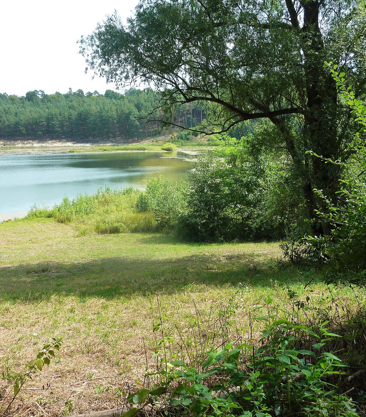 Gehspitzweiher bei Neu-Isenburg
