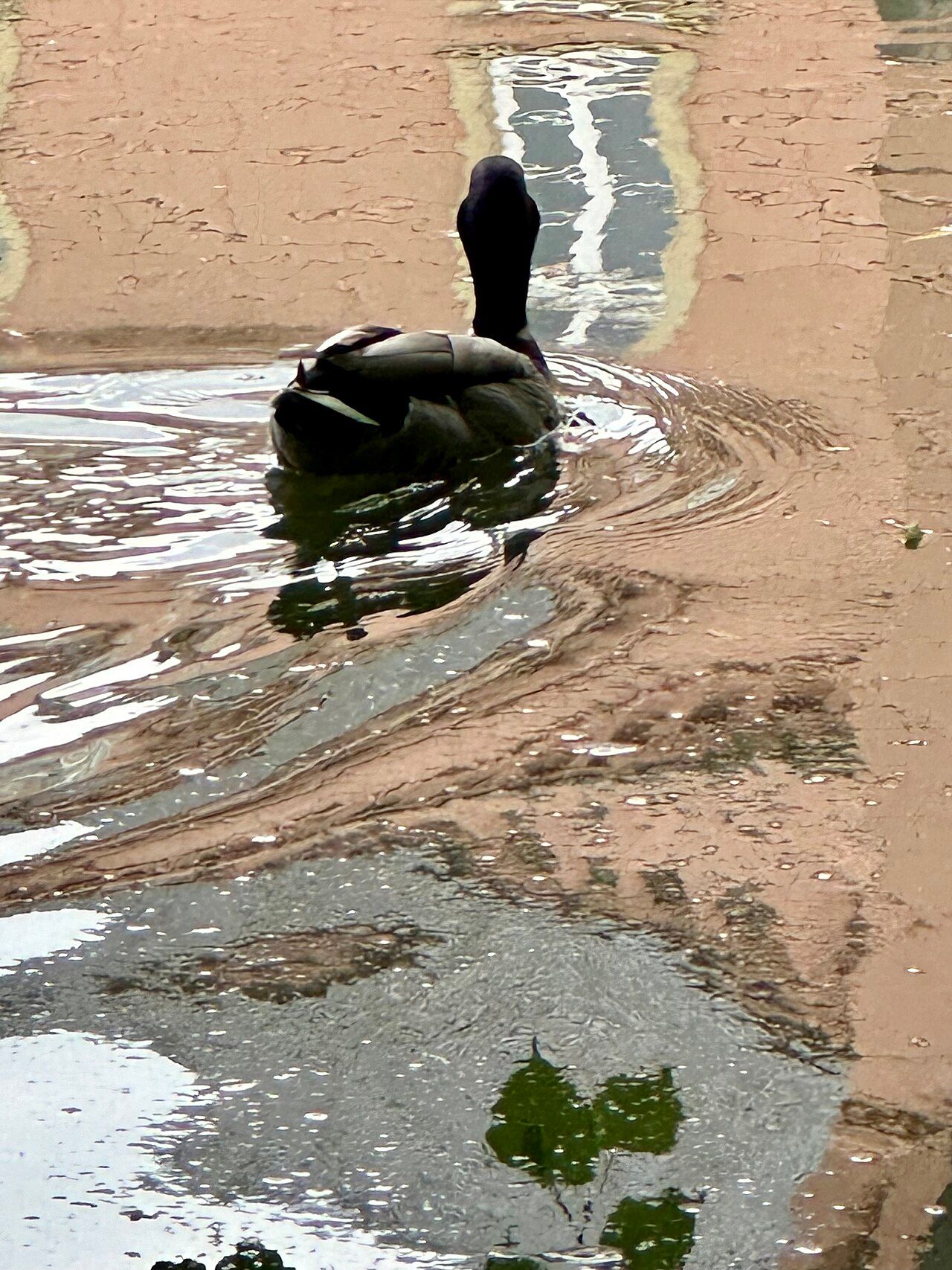 Schlosspark Gracht