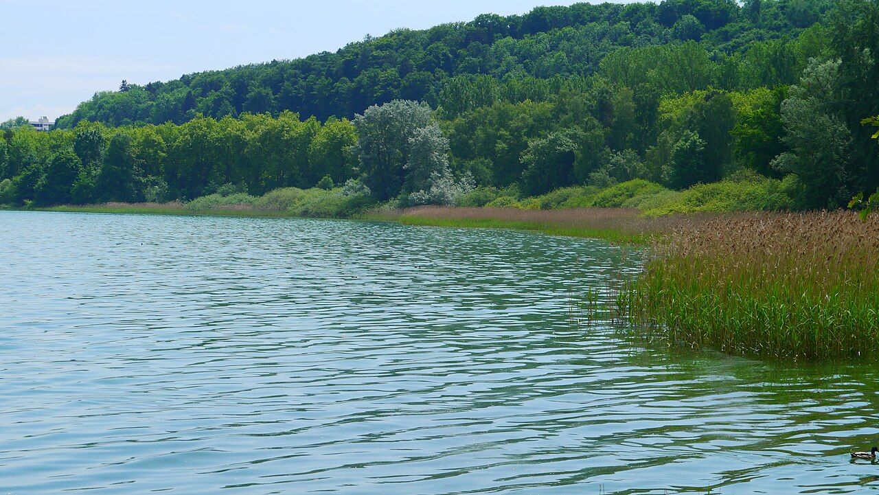Naturschutzgebiet Obere Güll