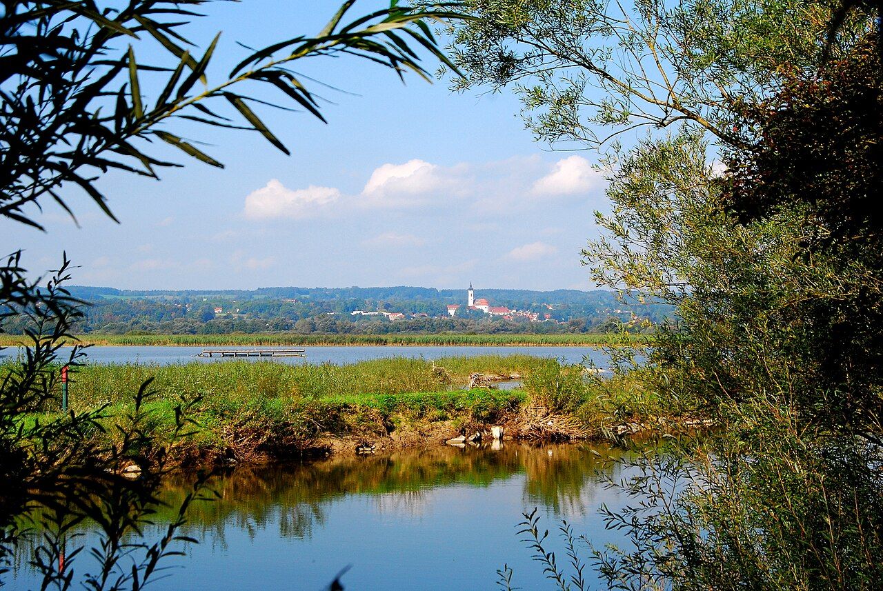 Vogelfreistätte Ammersee-Südufer
