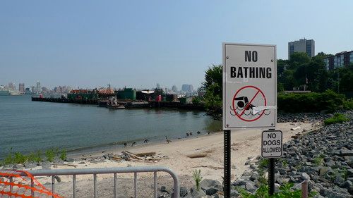 Maxwell Place Beach