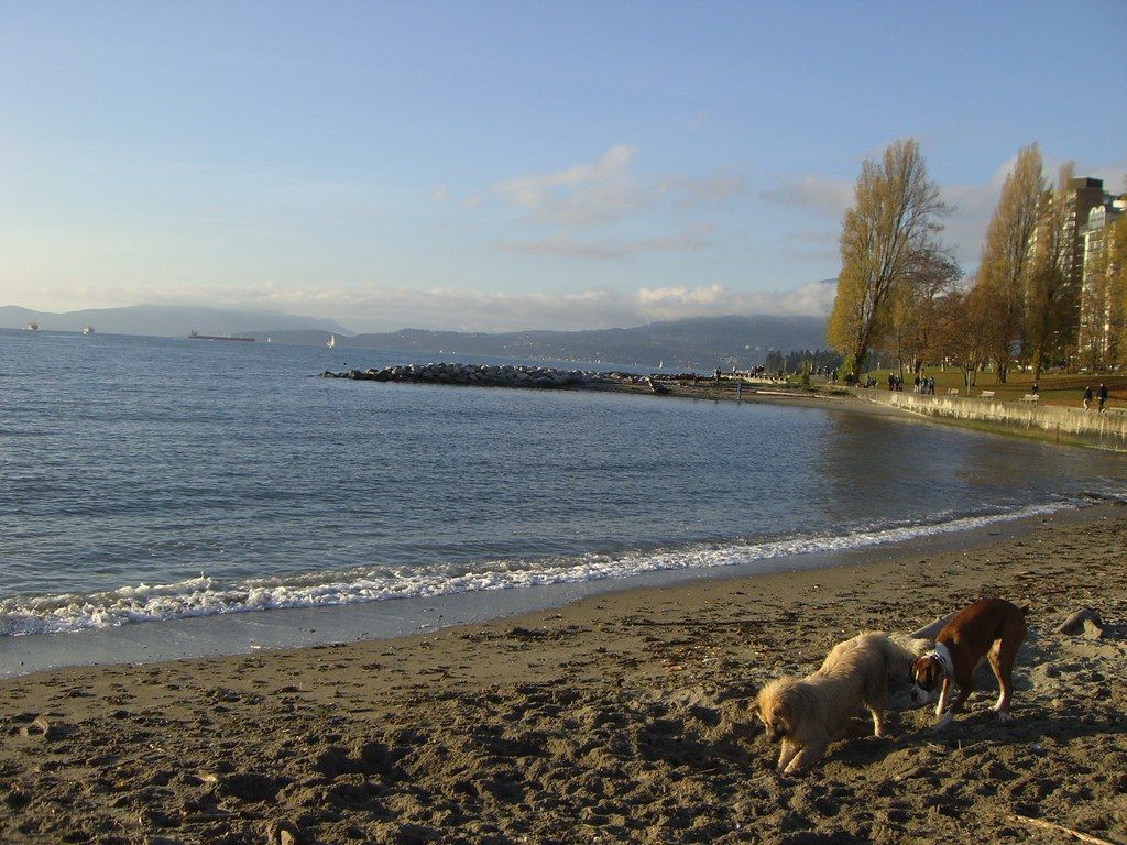 Plage CA-W