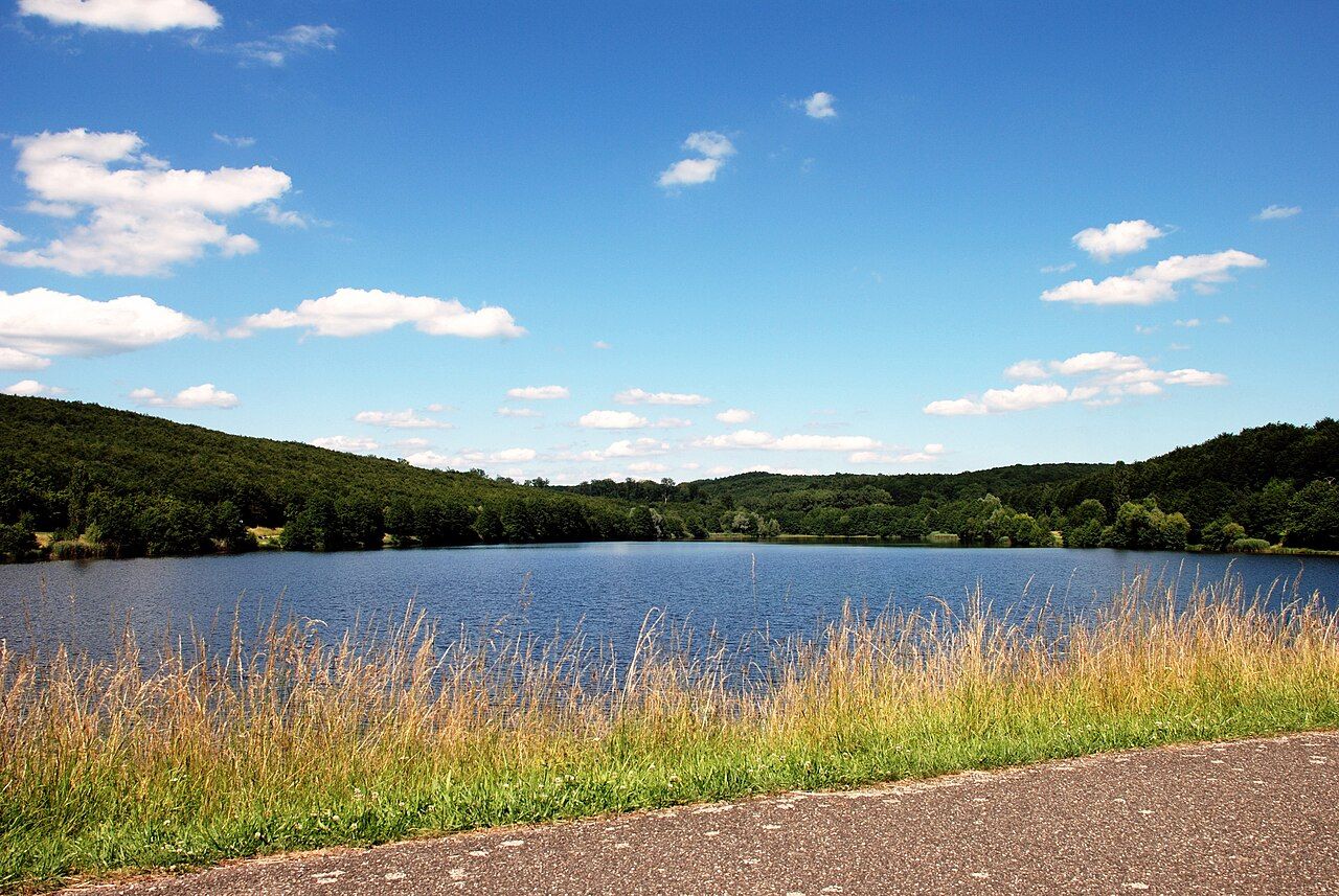 Réserve naturelle du plan d'eau de Reichshoffen