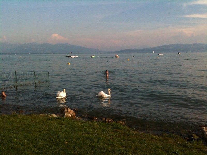 Baignade AT