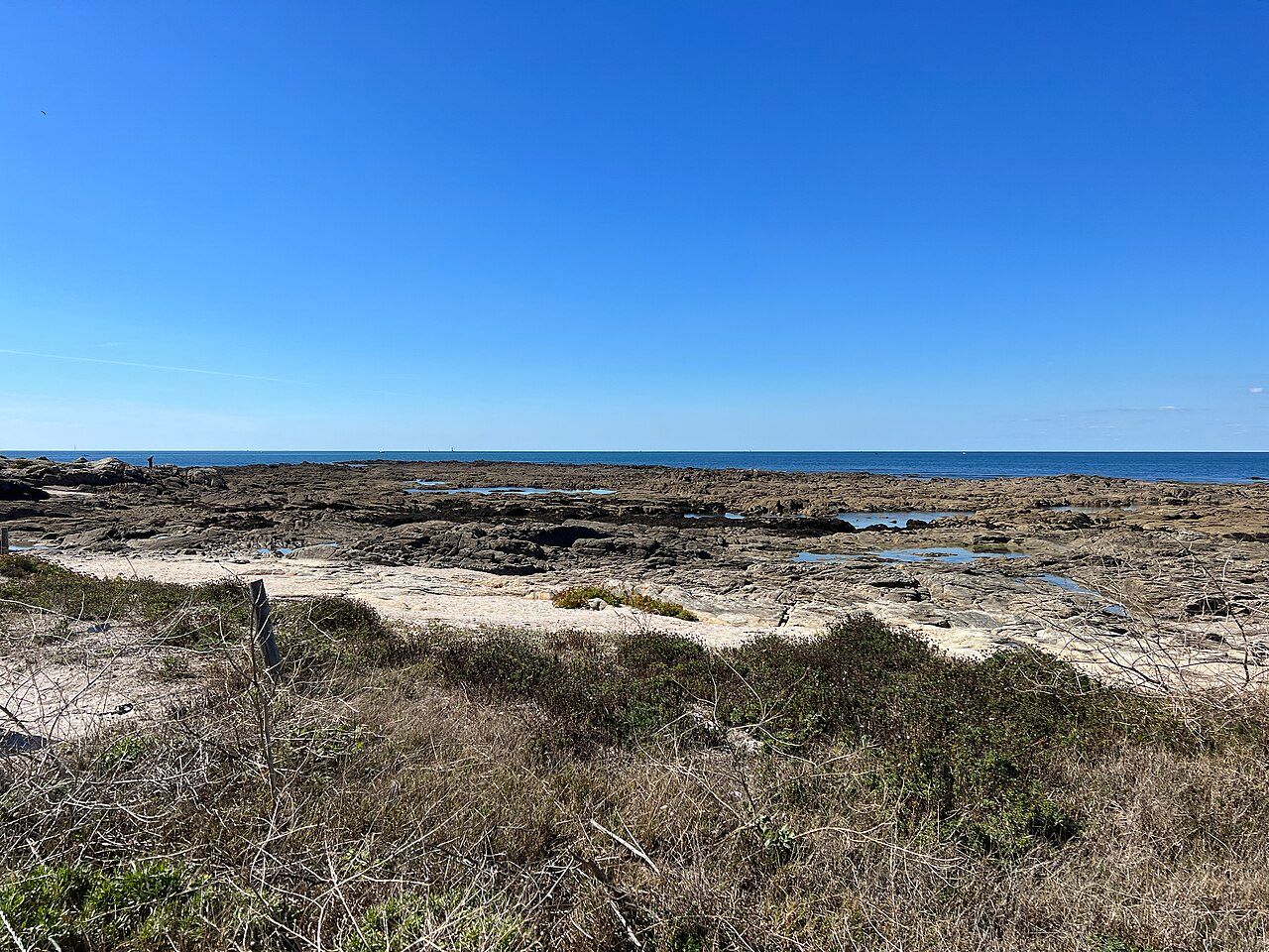 Spot FR-NW