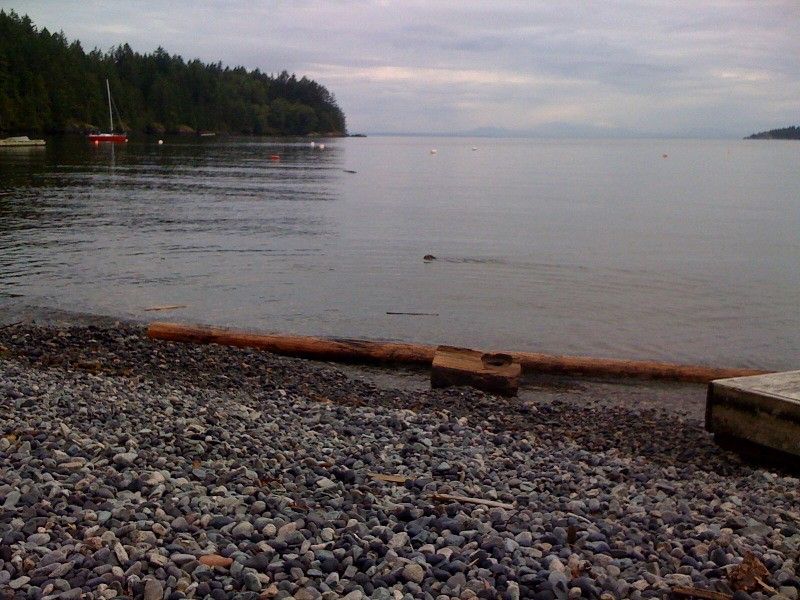 Tunstall Bay Community Beach
