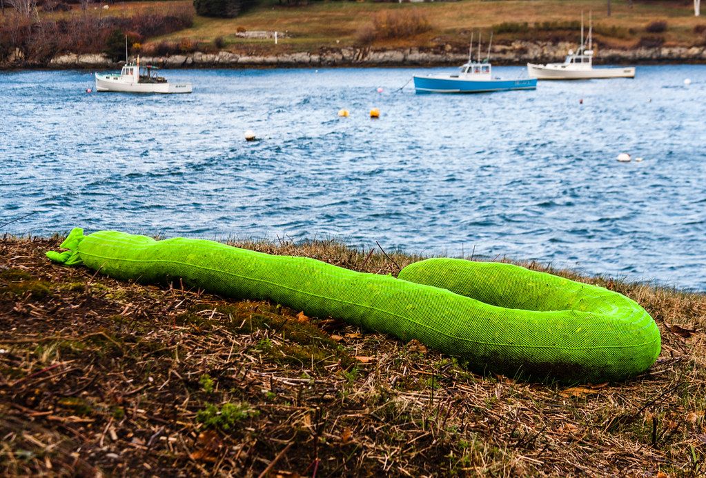 Mackerel Cove