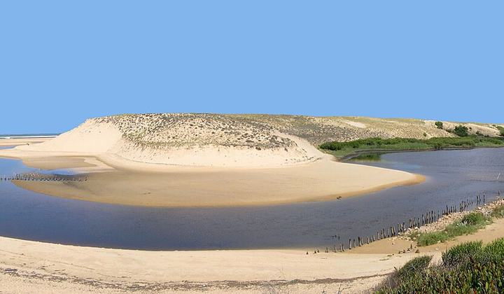 Réserve naturelle du Courant d'Huchet