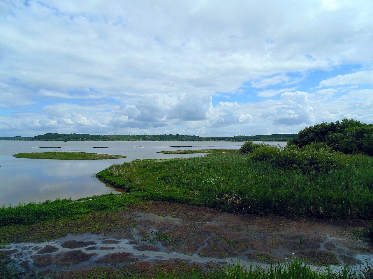 Réserve naturelle du Marais d'Orx