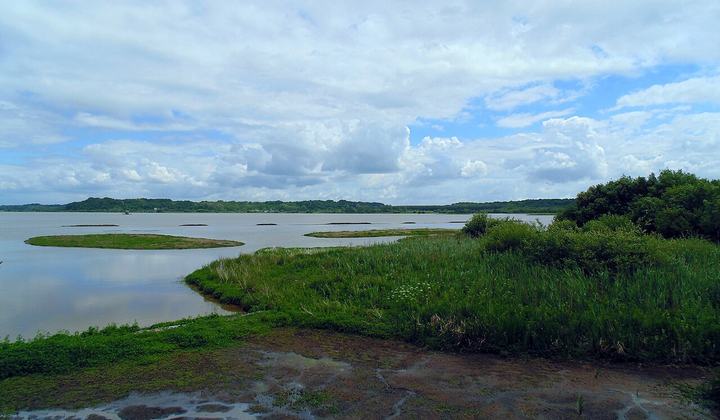 Réserve naturelle du Marais d'Orx
