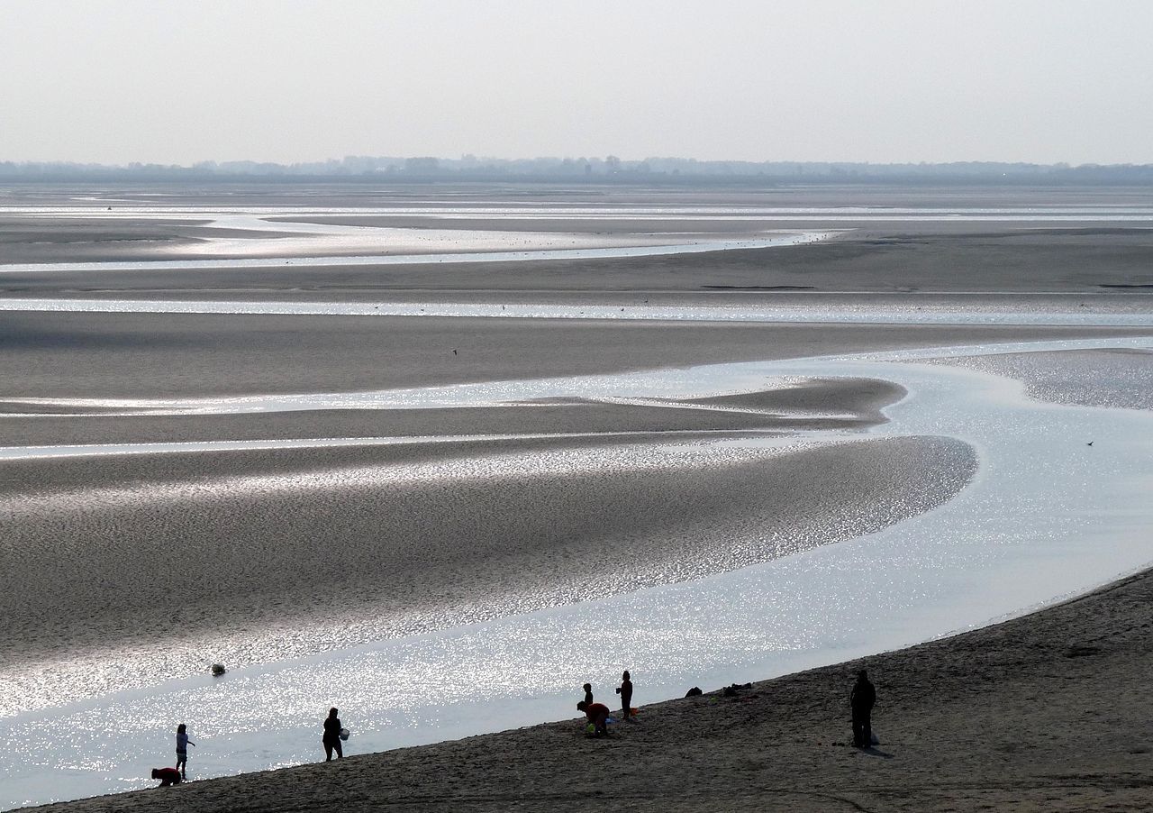 Réserve naturelle de la baie de Somme