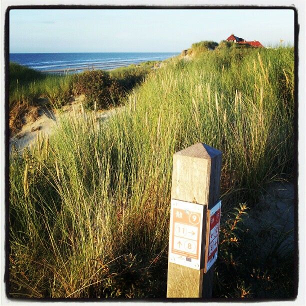 Réserve naturelle de la dune Marchand