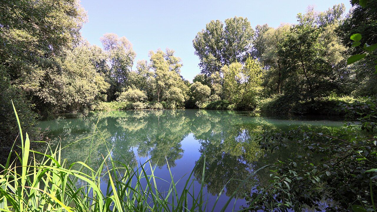 Réserve naturelle de l'île de Rhinau