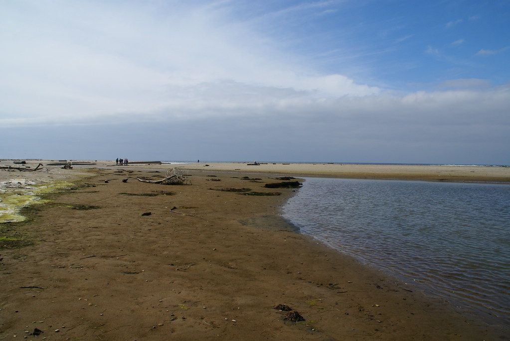 Waddell Beach (State Parks)