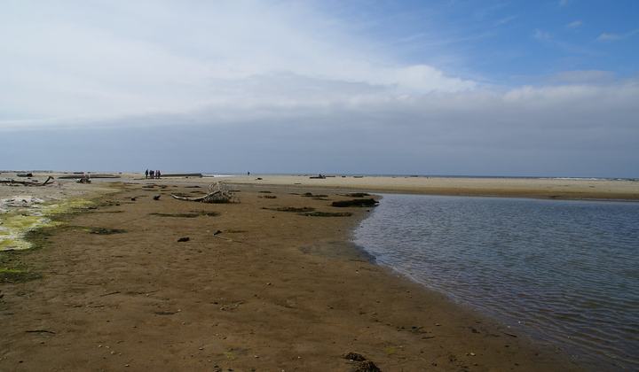 Waddell Beach (State Parks)