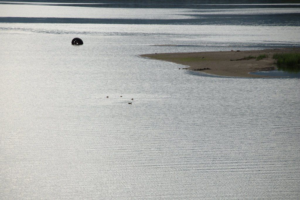Lønaøyane naturreservat