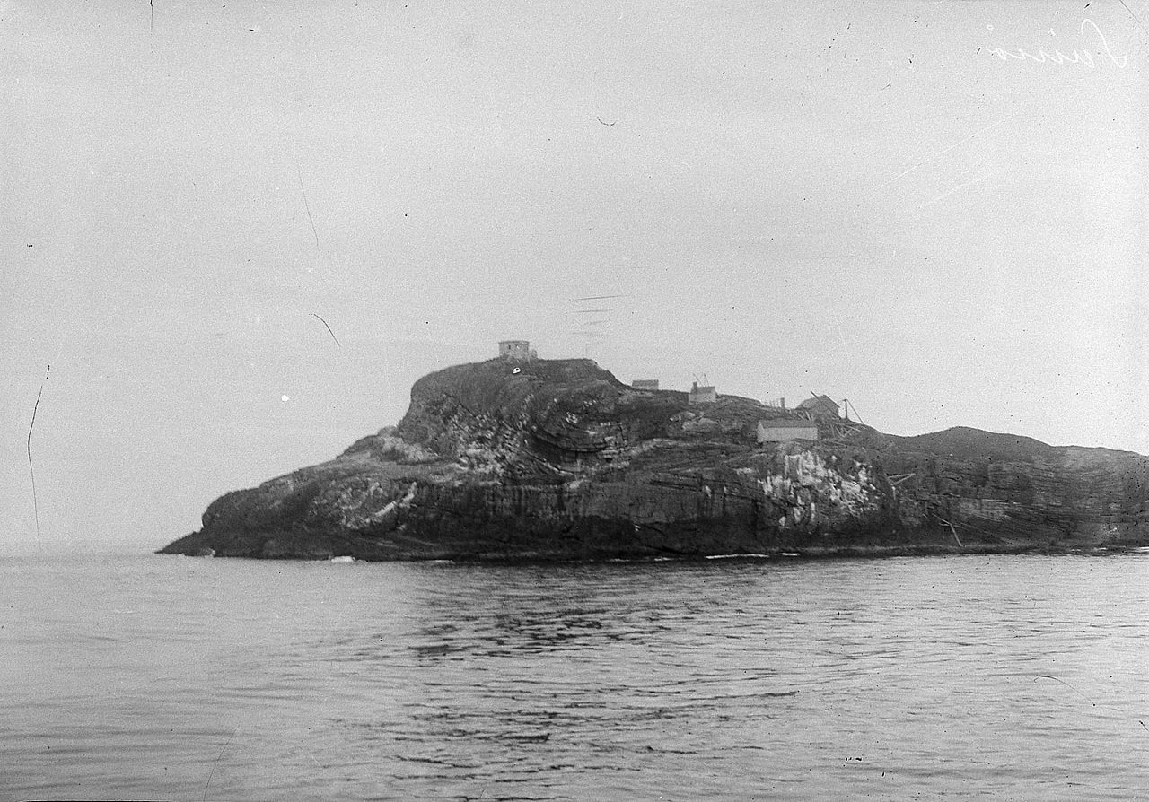 Svinøya naturreservat