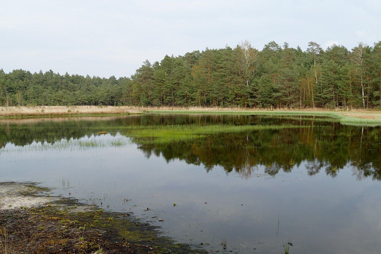 Gilder Meerbergsmoor