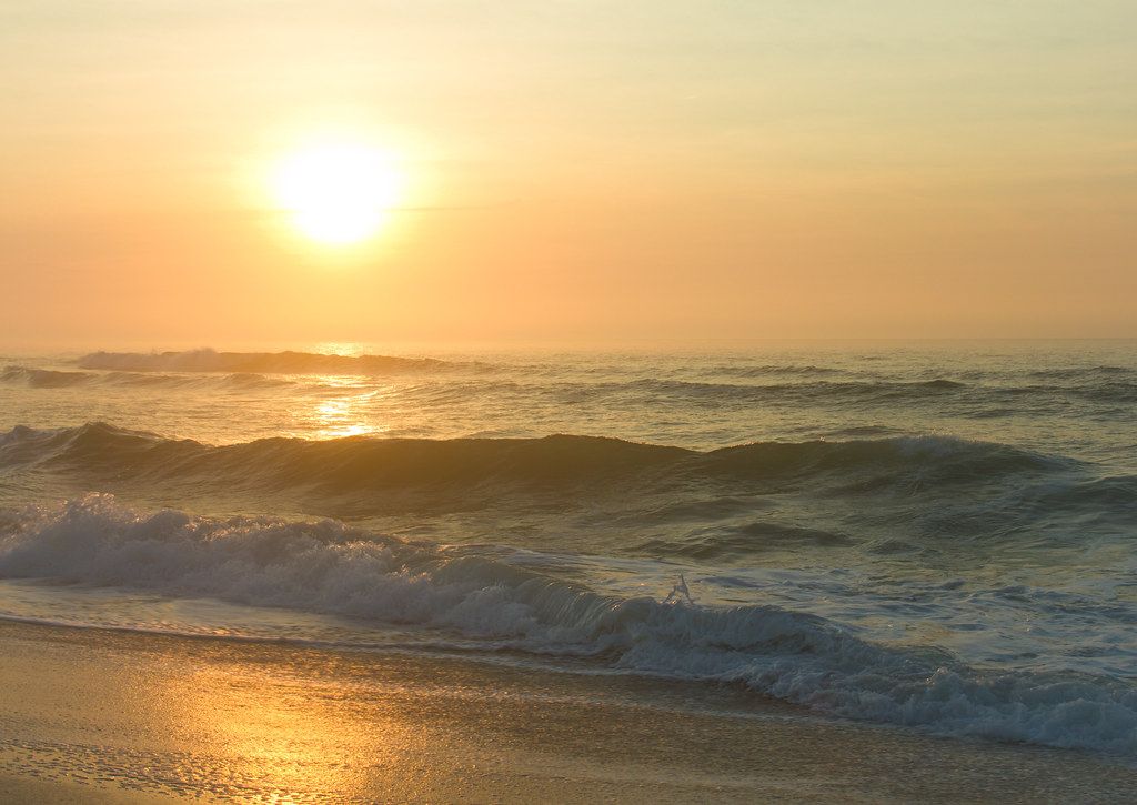 The Sea Shell Resort & Beach Club