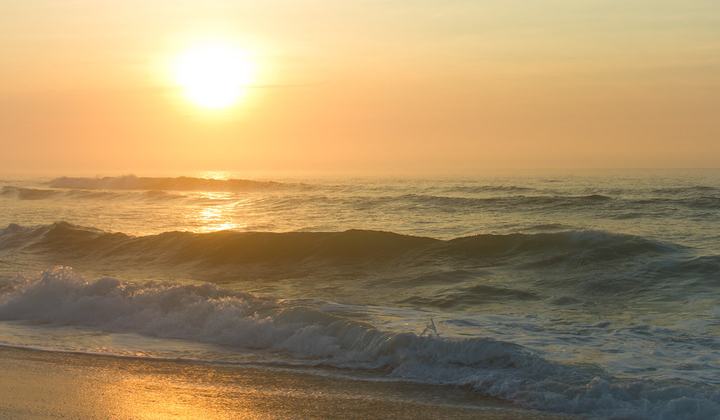 The Sea Shell Resort & Beach Club