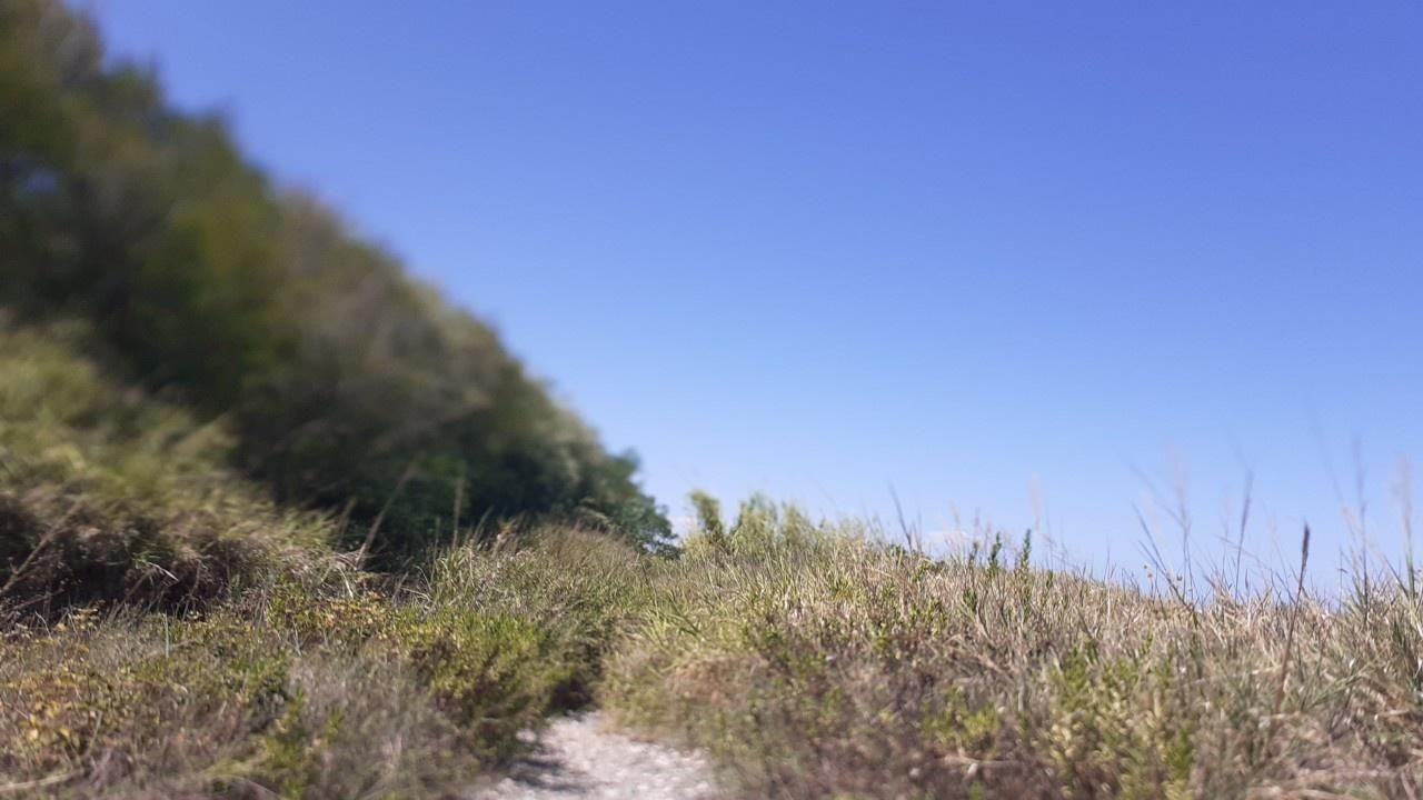 Spiaggia Lido Le Morge