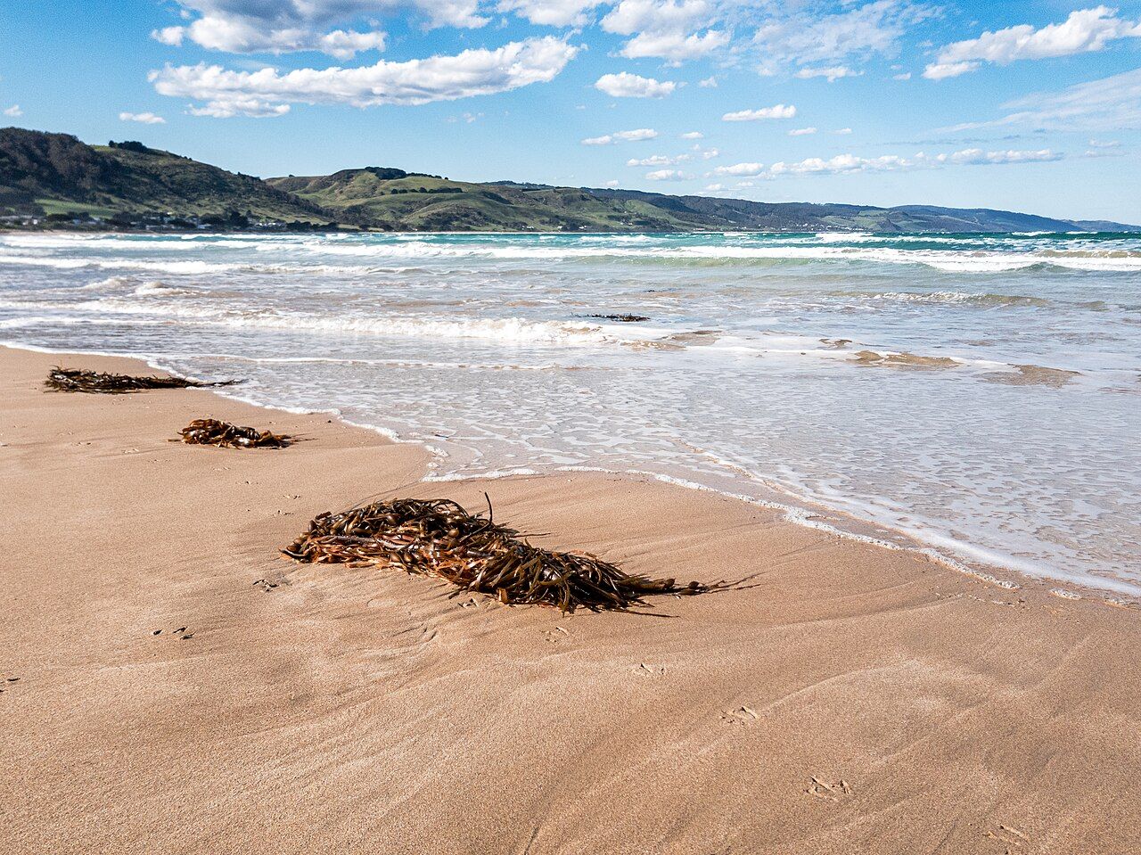 Apollo Bay Surf Life Saving Club