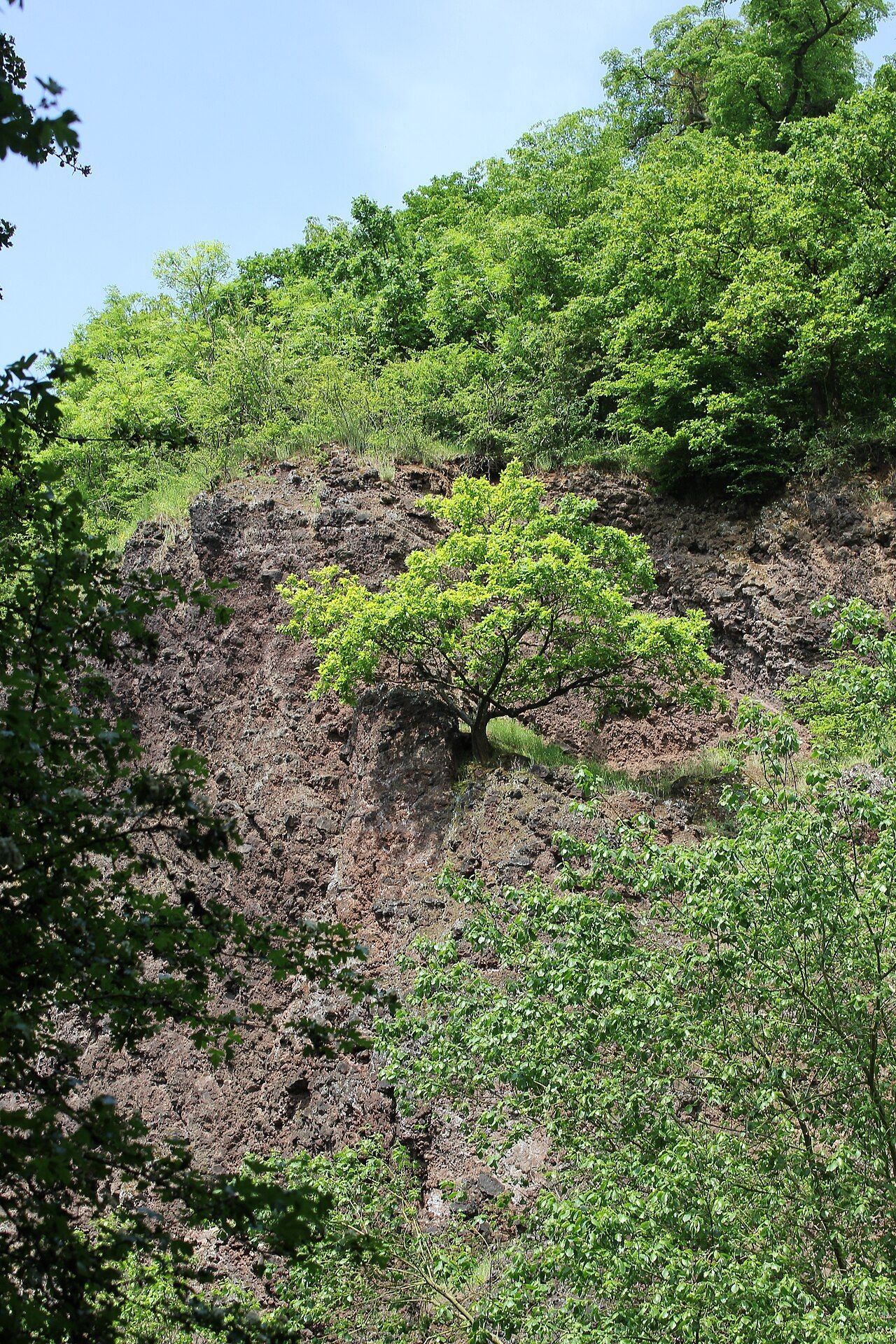 Karmelenberg