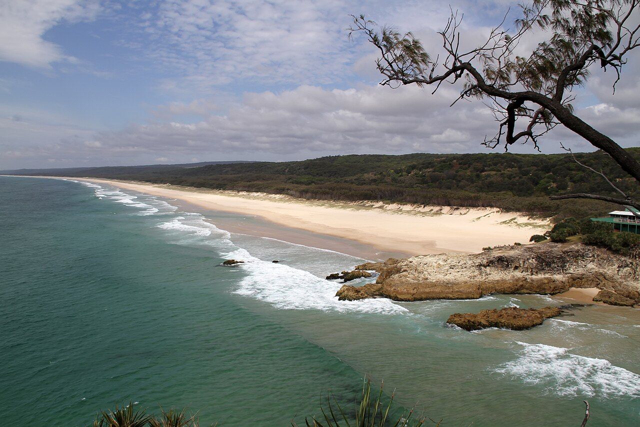 Point Lookout Surf Club