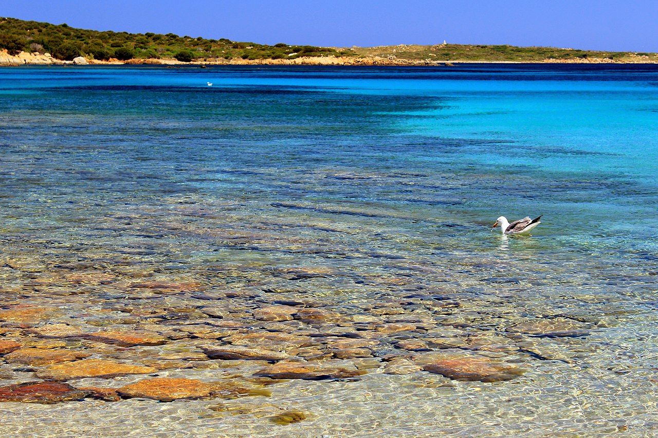 Cala Andreani