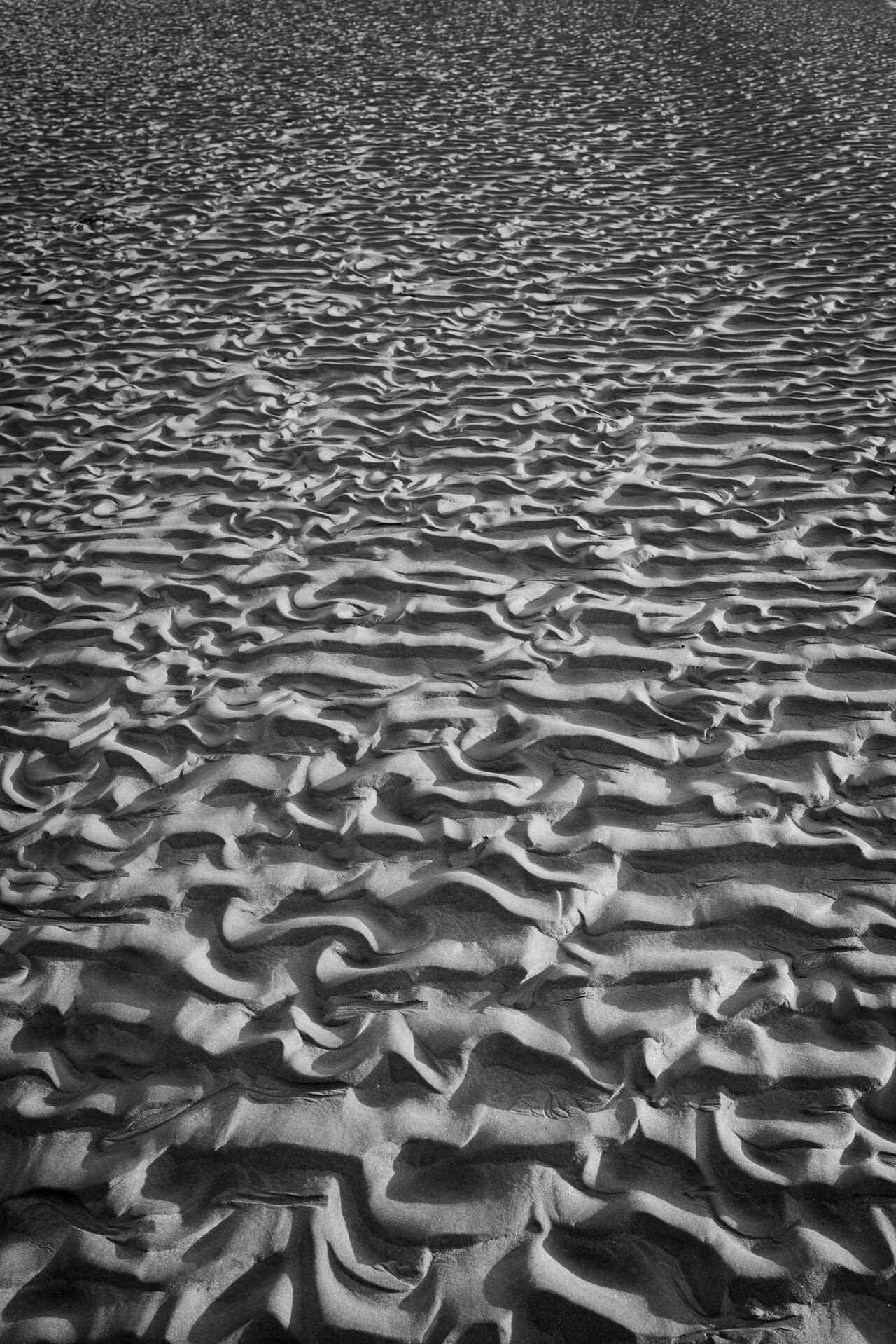 Oxner's Beach
