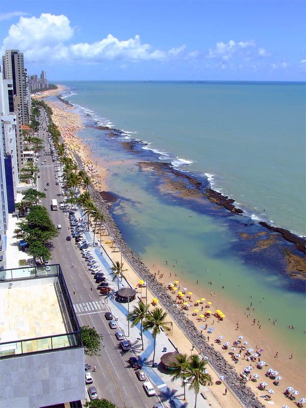 Reef BR-NE