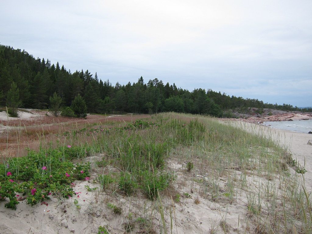 Björnviken