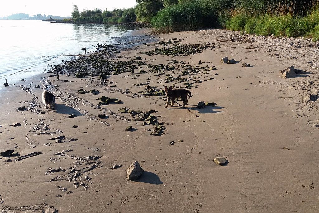 Plage NL