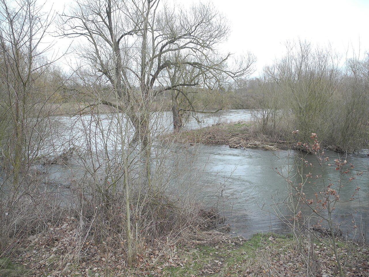 Schlämmteiche bei Geismar
