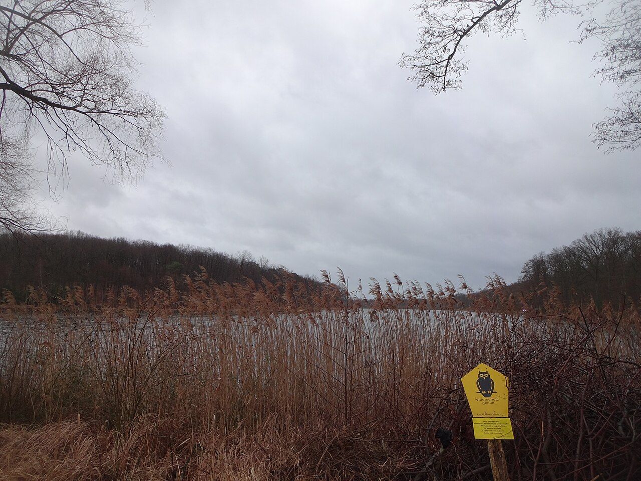 Lehniner Mittelheide und Quellgebiet der Emster