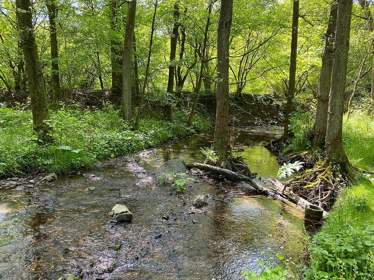 Leyerbachtal