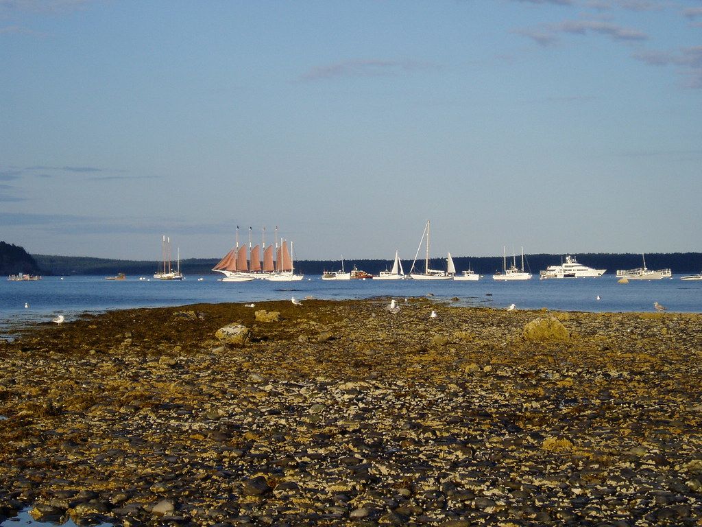 Bar Island Sand Bar