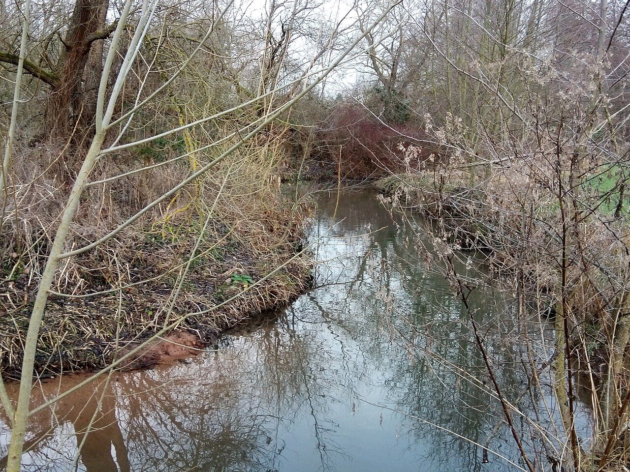 Mainauen bei Sulzbach und Kleinwallstadt